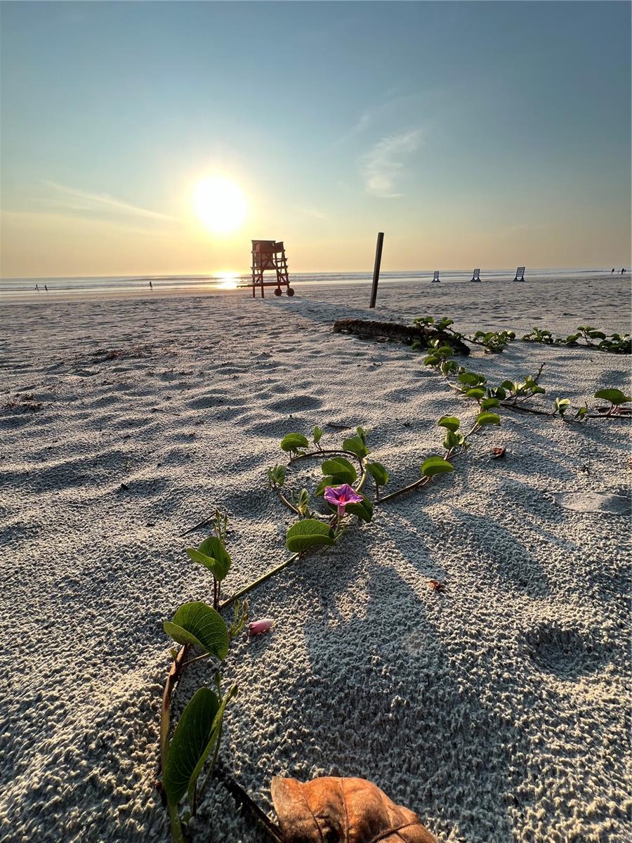 3325 PINTELLO AVE, NEW SMYRNA BEACH, FL, 32168