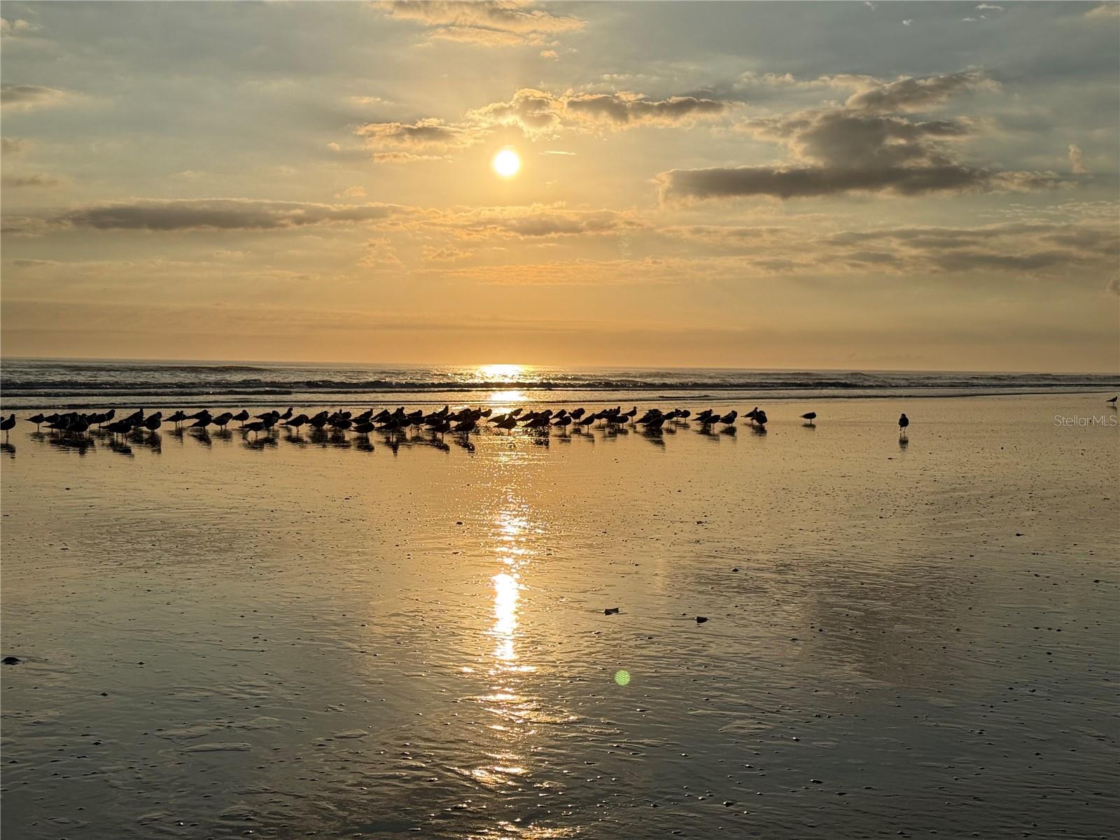 3325 PINTELLO AVE, NEW SMYRNA BEACH, FL, 32168