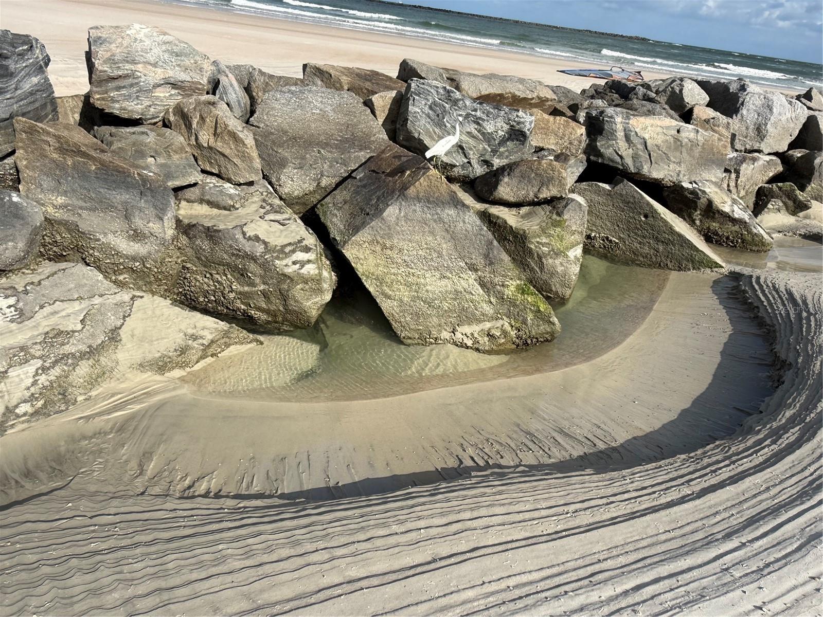 3325 PINTELLO AVE, NEW SMYRNA BEACH, FL, 32168