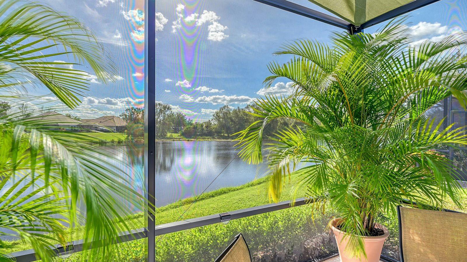 7038 FOUR SEASONS CIR, LAKEWOOD RANCH, FL, 34202