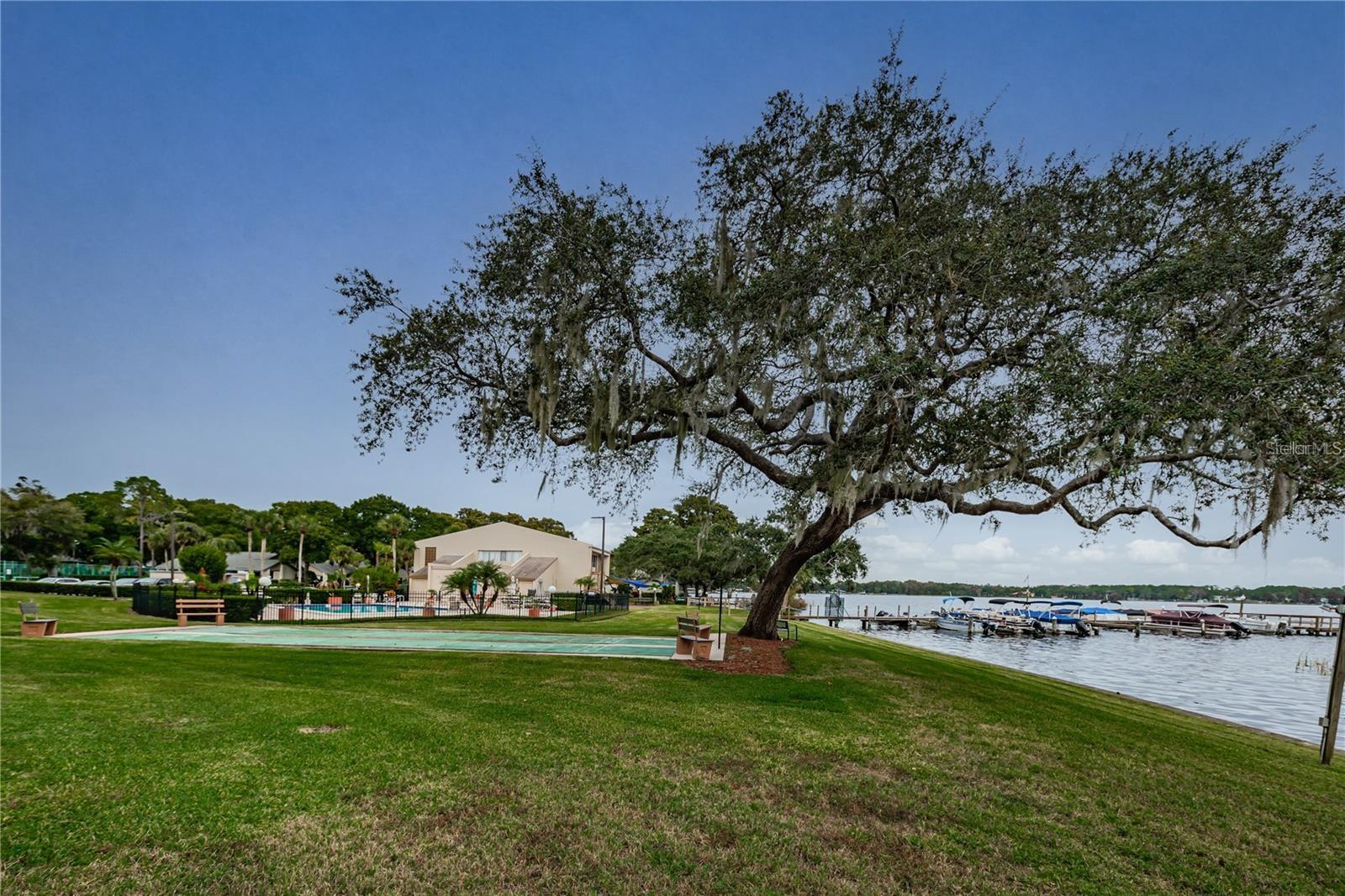 90 S HIGHLAND AVE #1202, TARPON SPRINGS, FL, 34689