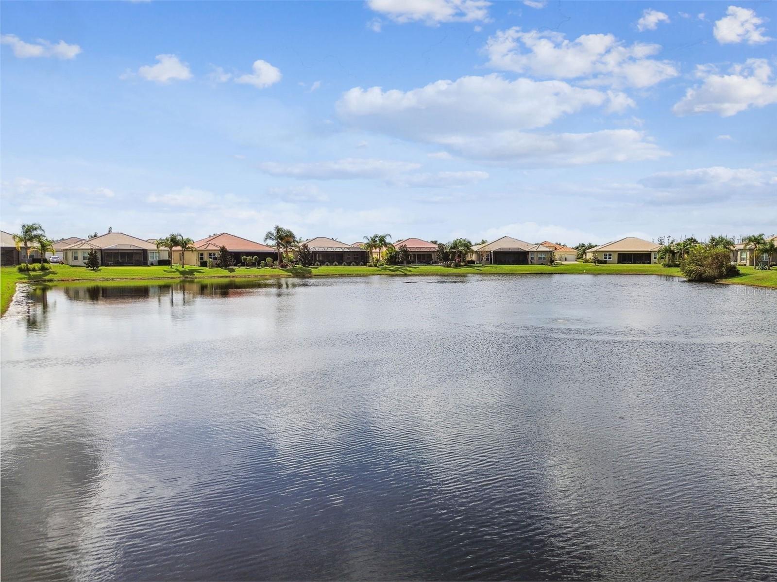 15940 CAPE CORAL DR, WIMAUMA, FL, 33598