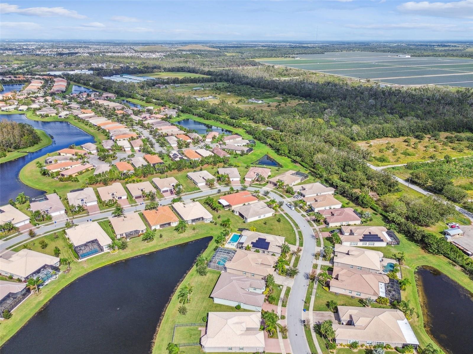 15940 CAPE CORAL DR, WIMAUMA, FL, 33598
