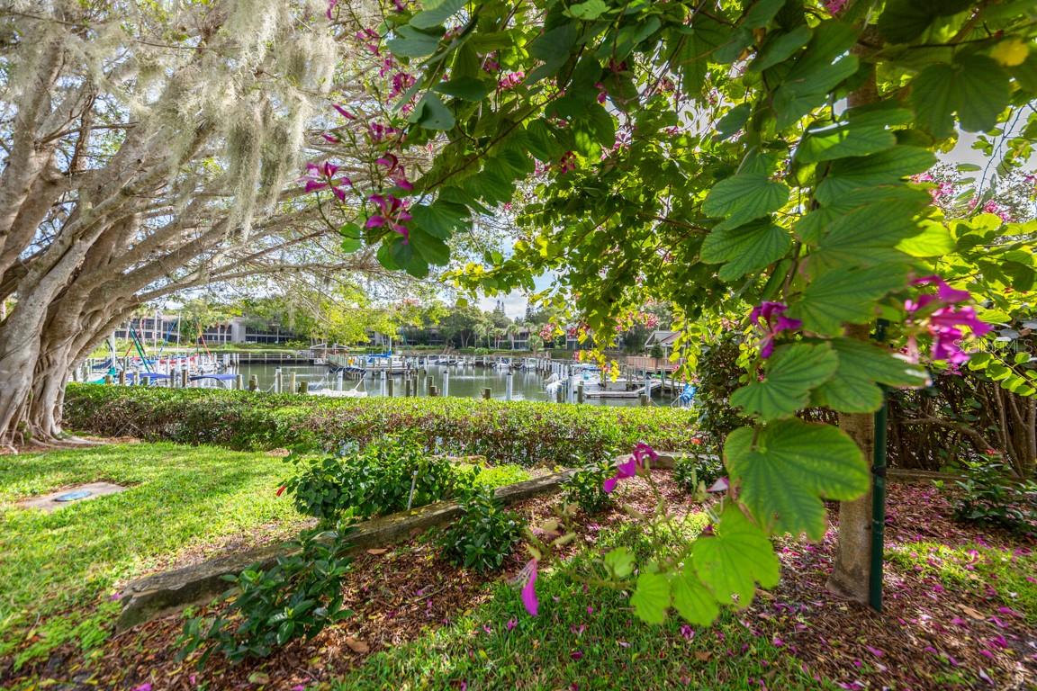 1519 PELICAN POINT DR #292, SARASOTA, FL, 34231