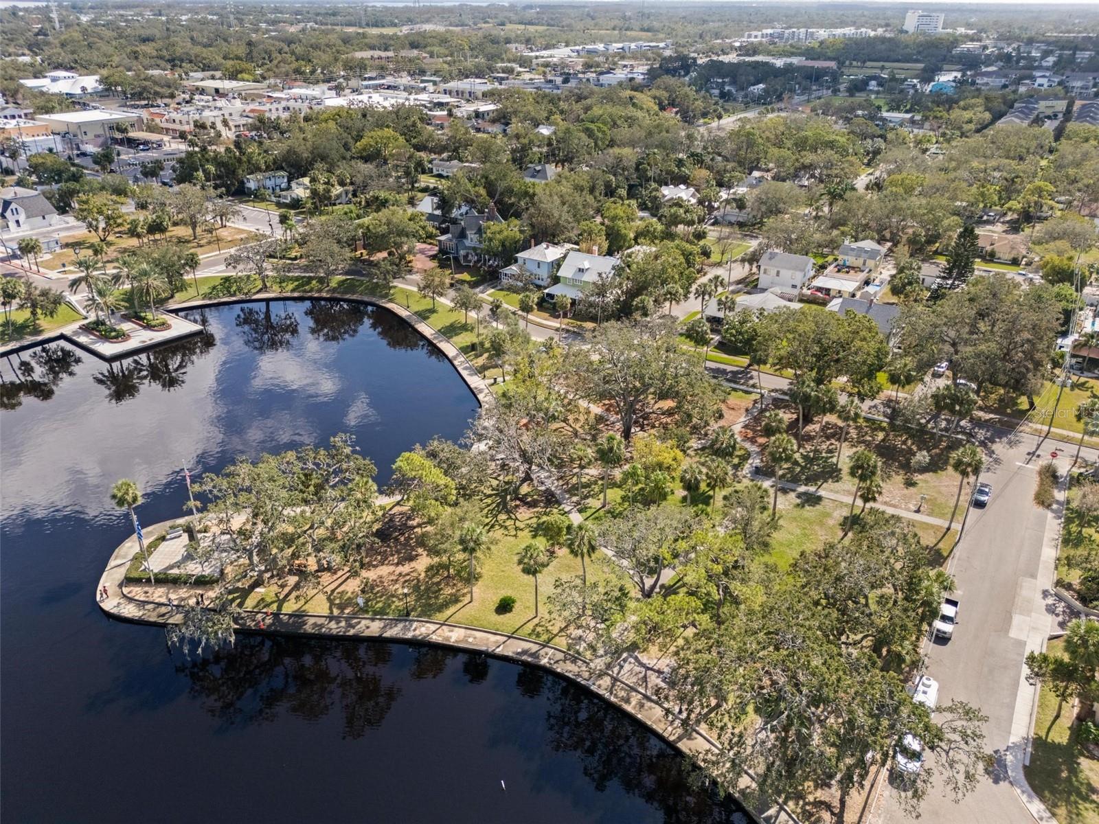 203 S SPRING BLVD, TARPON SPRINGS, FL, 34689