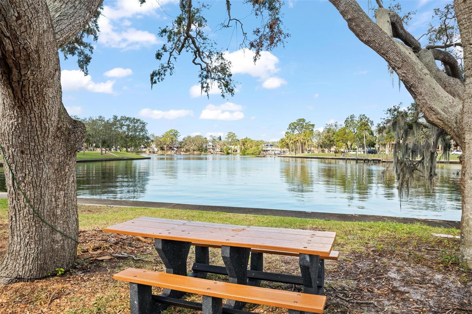 203 S SPRING BLVD, TARPON SPRINGS, FL, 34689