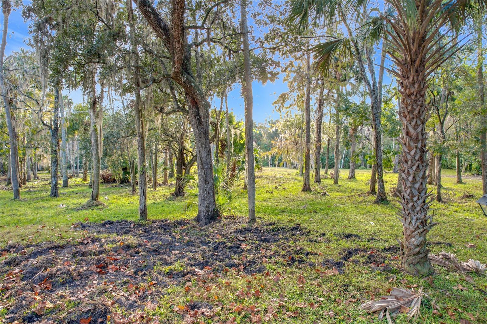 4500 HALLELUJAH WAY, SANFORD, FL, 32773