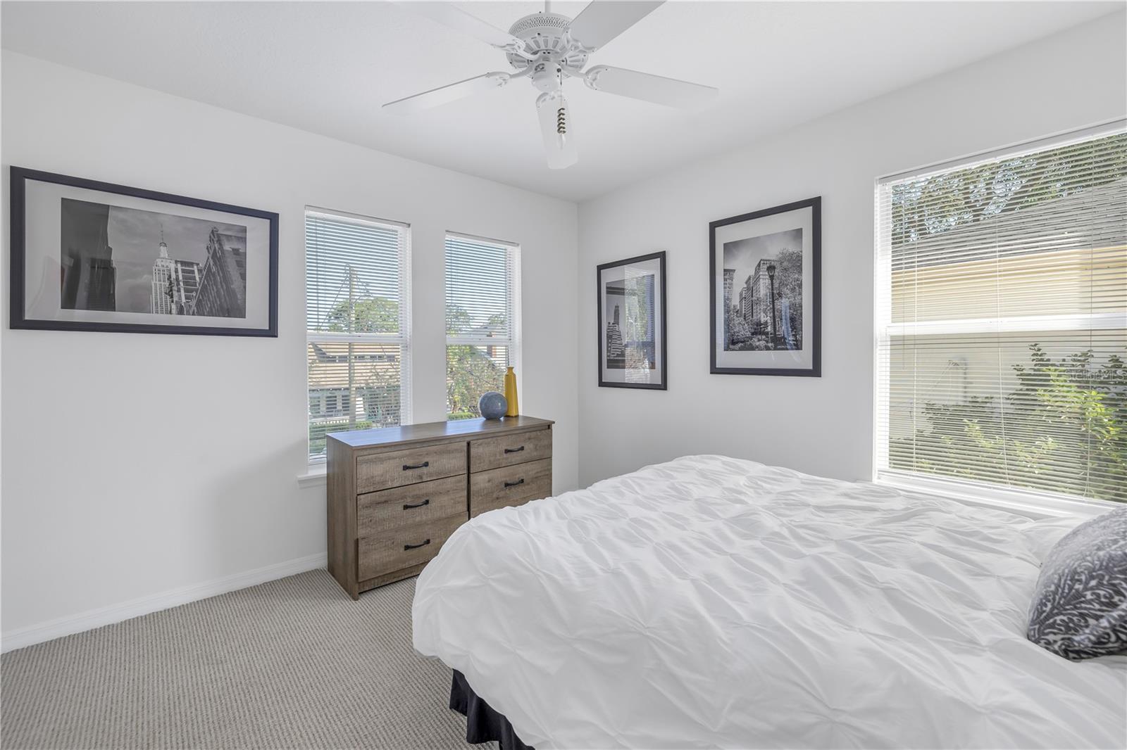 3608 W SAN PEDRO ST, TAMPA, FL, 33629