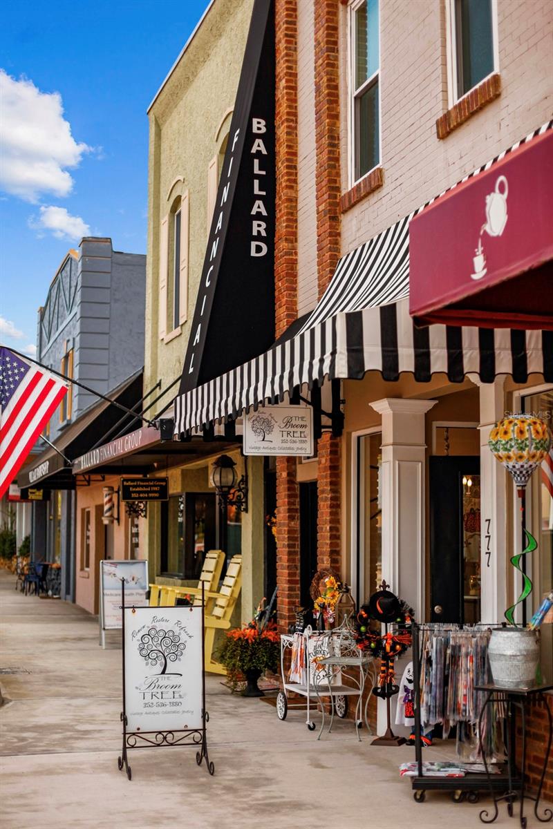 559 JUNIPER SPRINGS DR, GROVELAND, FL, 34736