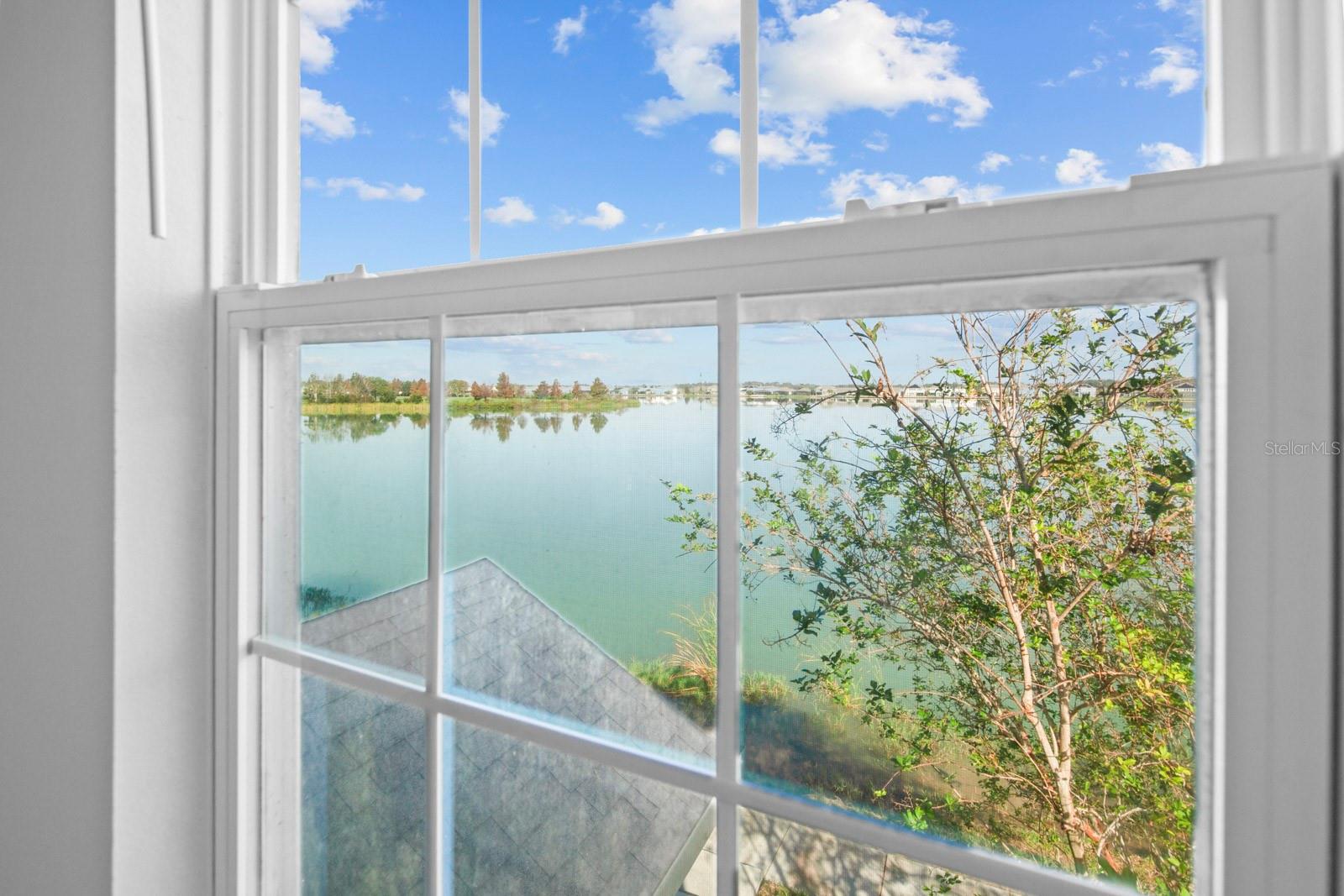 559 JUNIPER SPRINGS DR, GROVELAND, FL, 34736