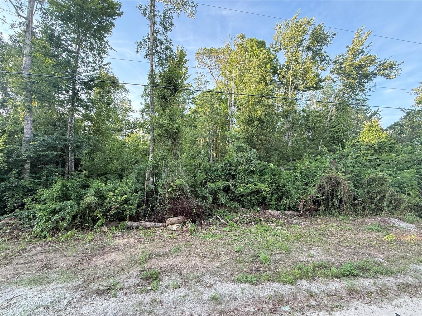 SWEETWATER TRL #156, KISSIMMEE, FL, 34747