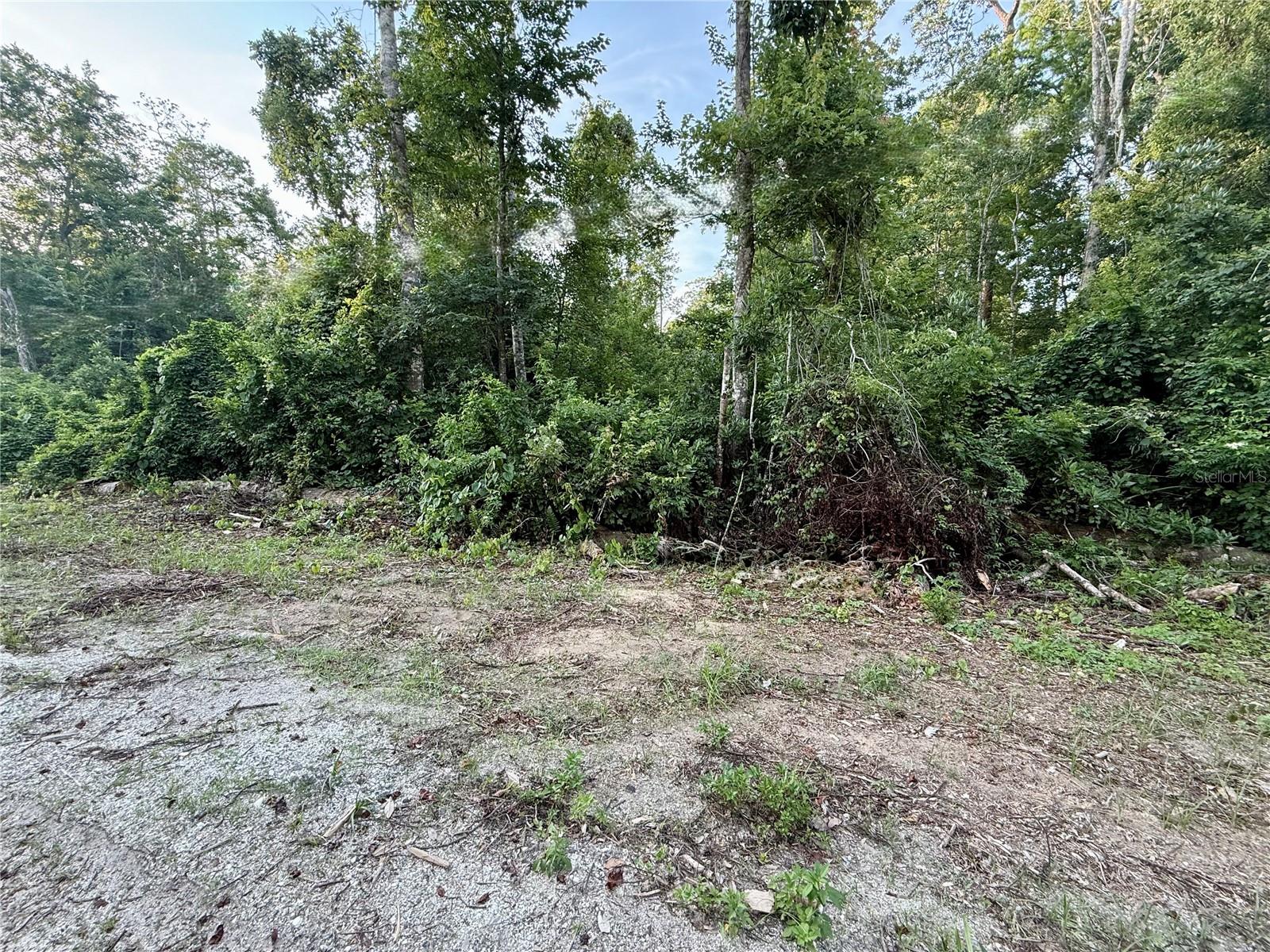 SWEETWATER TRL #156, KISSIMMEE, FL, 34747