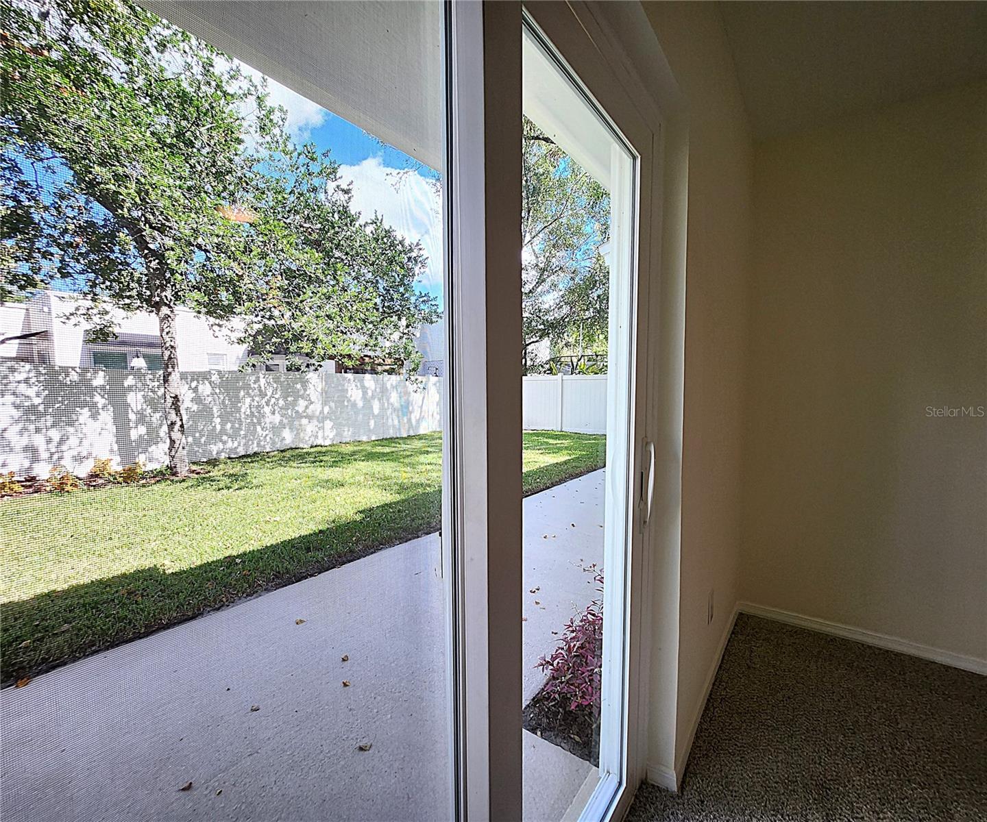3915 W SAN PEDRO ST, TAMPA, FL, 33629
