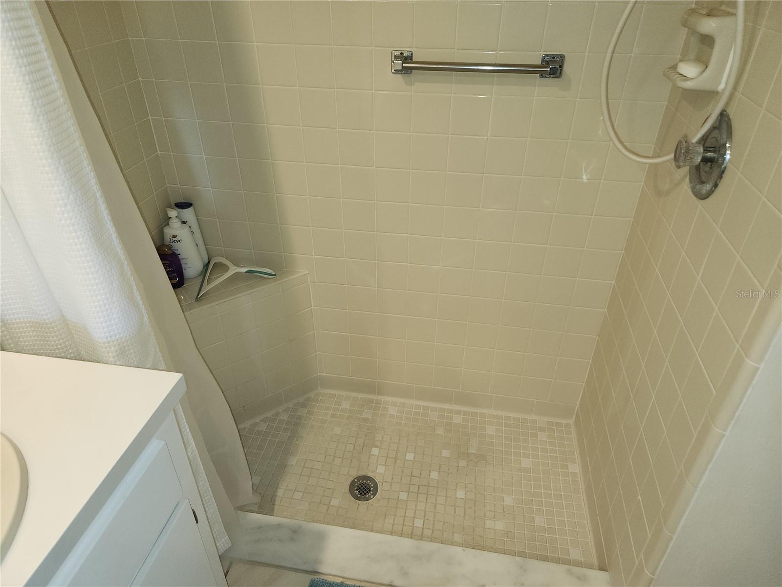 6580 BRAMBLELEAF DR, SPRING HILL, FL, 34606