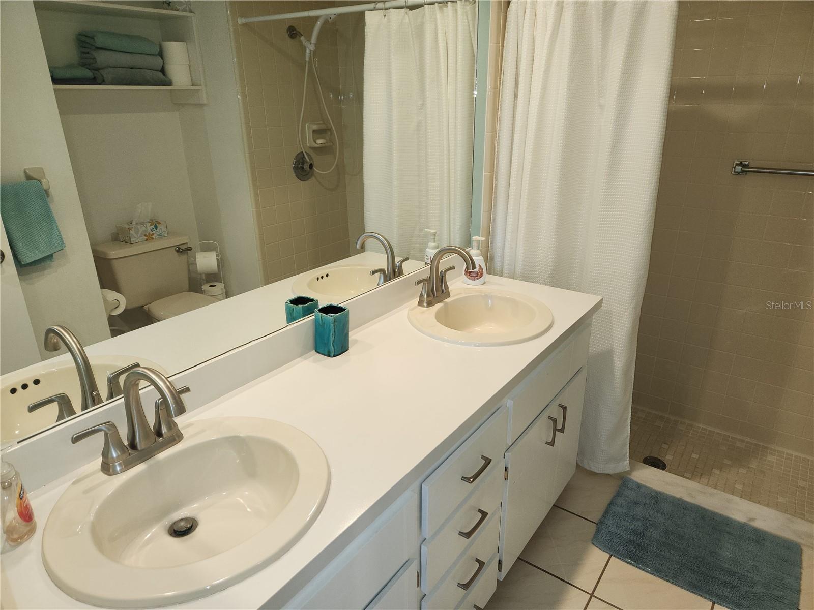 6580 BRAMBLELEAF DR, SPRING HILL, FL, 34606