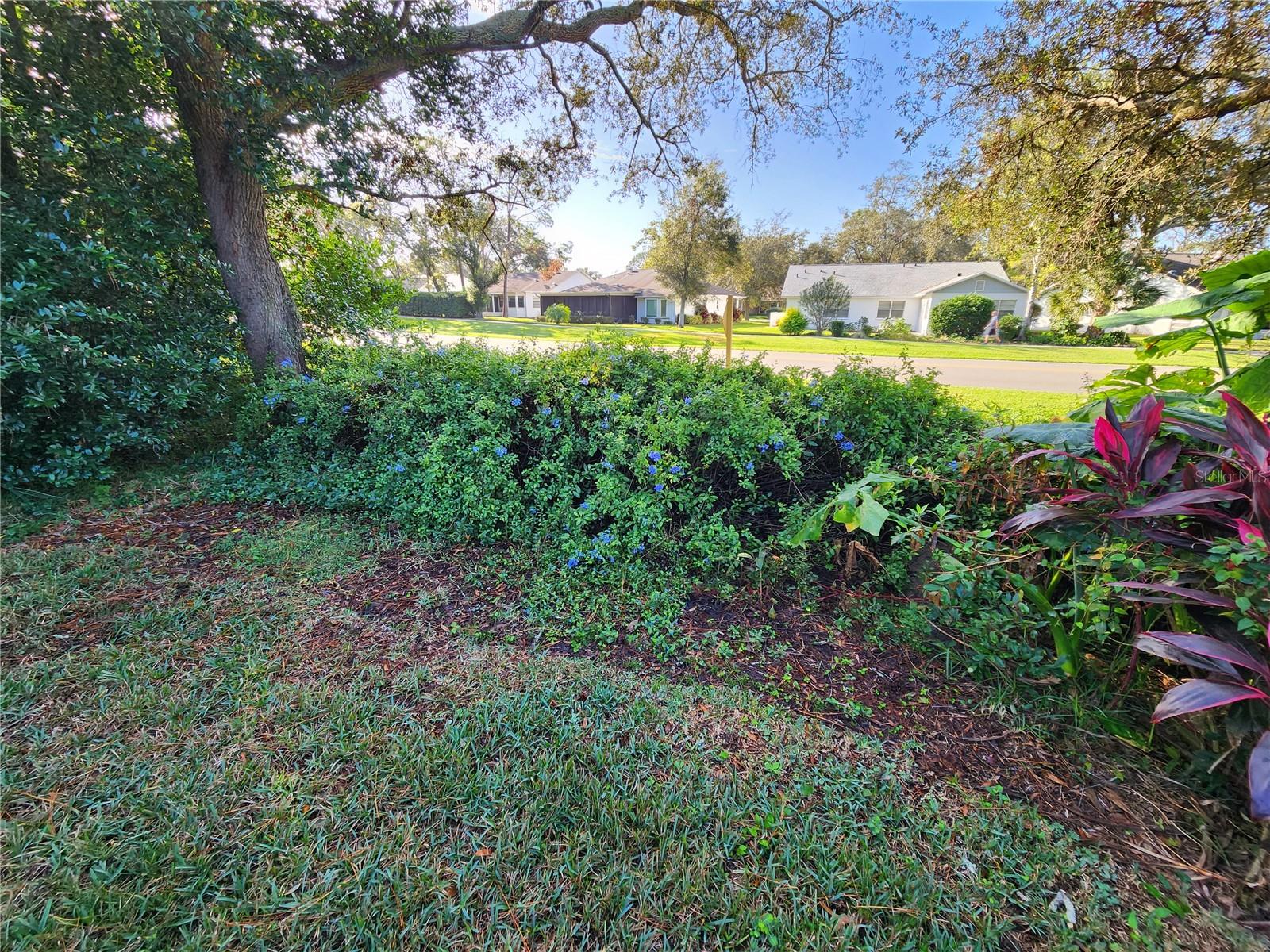 6580 BRAMBLELEAF DR, SPRING HILL, FL, 34606