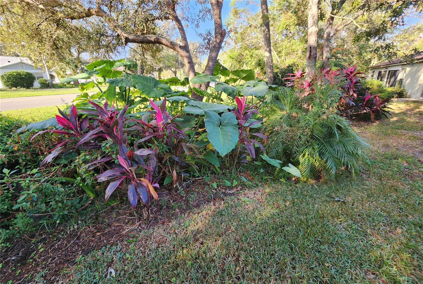 6580 BRAMBLELEAF DR, SPRING HILL, FL, 34606
