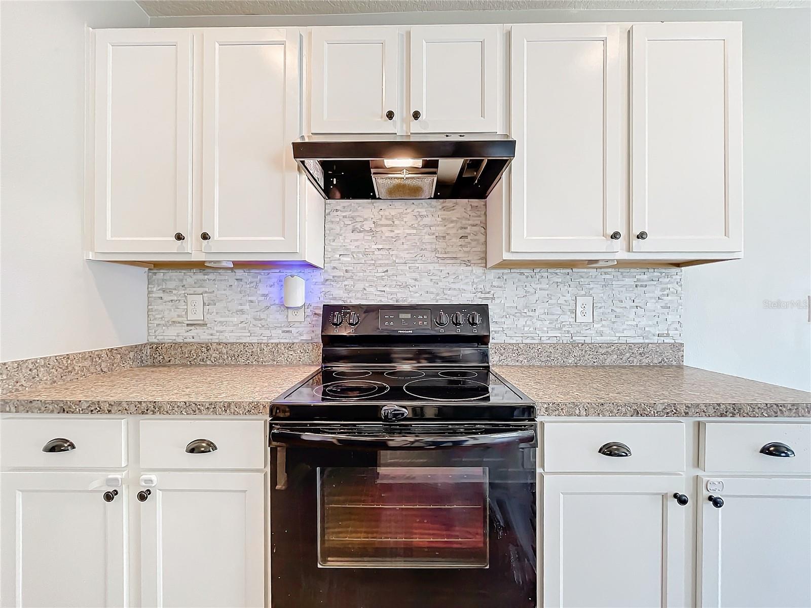 10520 BRONZE LEAF CT, LEESBURG, FL, 34788