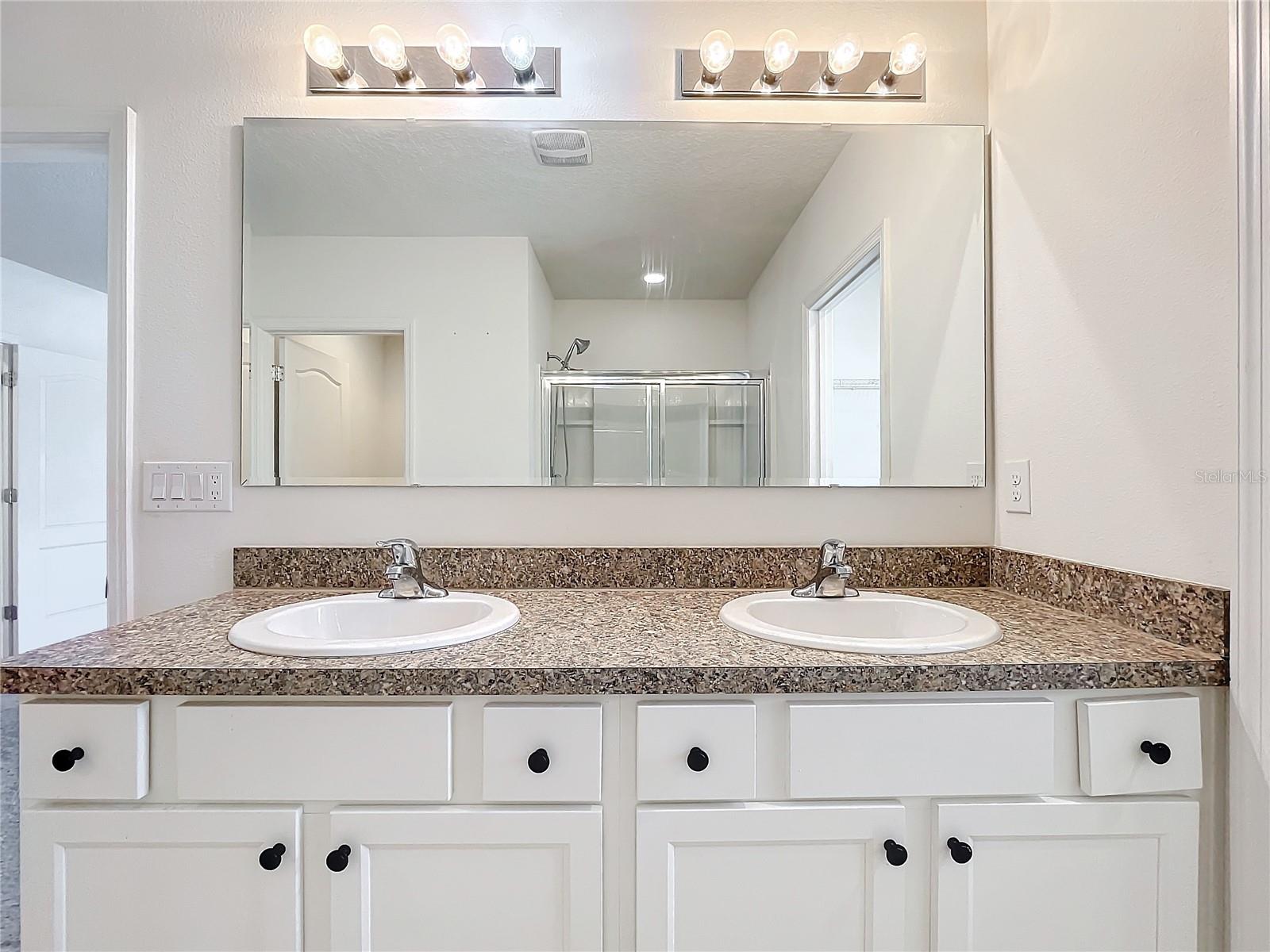 10520 BRONZE LEAF CT, LEESBURG, FL, 34788