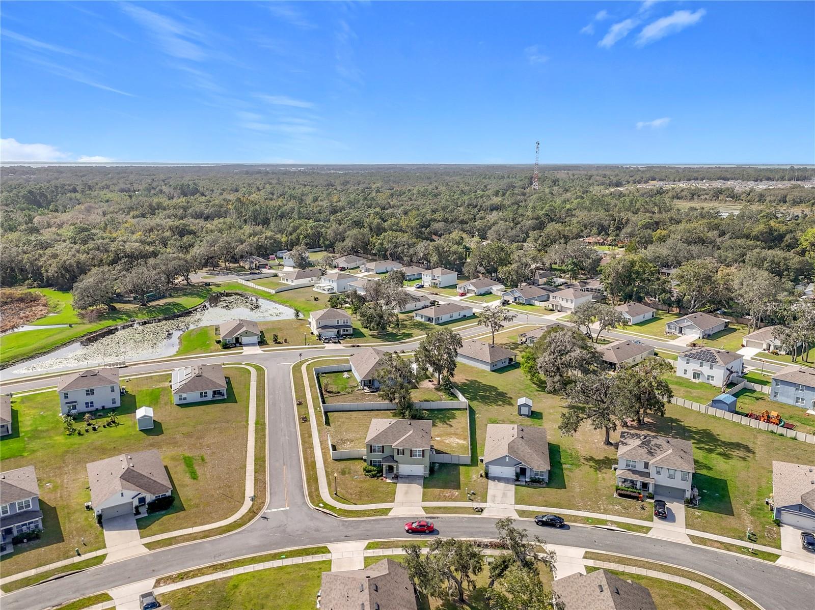10520 BRONZE LEAF CT, LEESBURG, FL, 34788