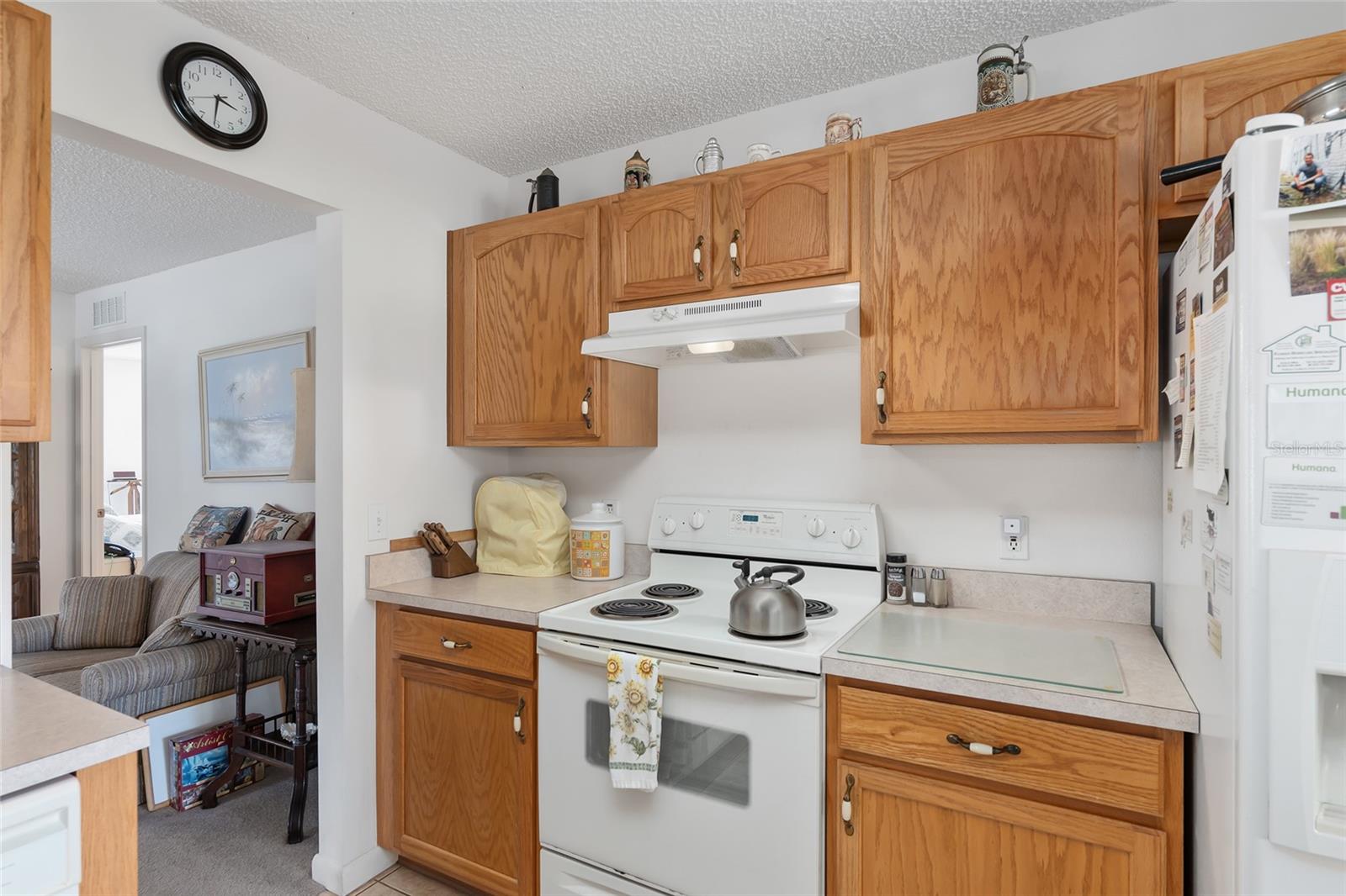 9859 SW 97TH ST, OCALA, FL, 34481