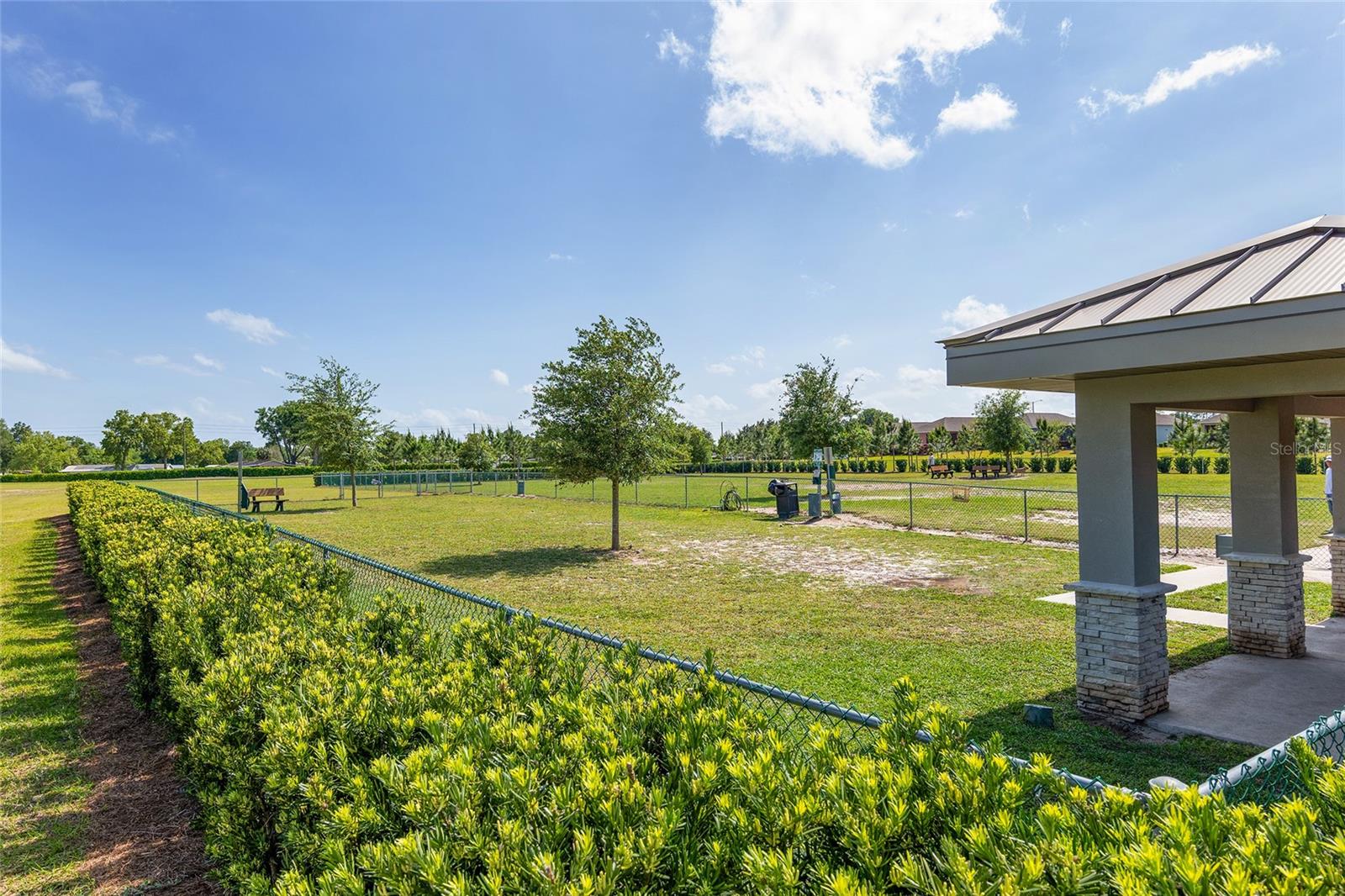 9859 SW 97TH ST, OCALA, FL, 34481