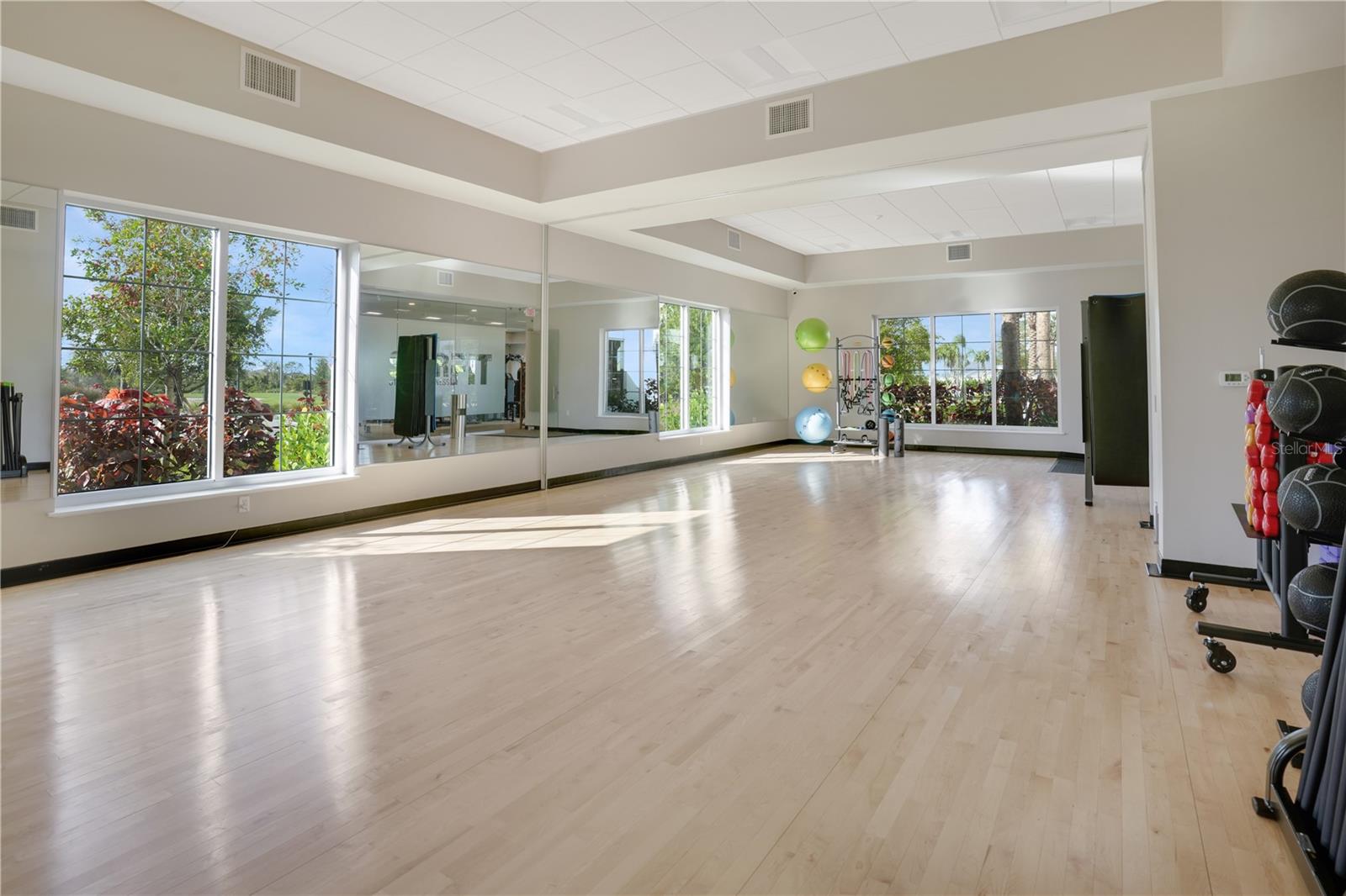 17579 CRESCENT MOON LOOP, BRADENTON, FL, 34211
