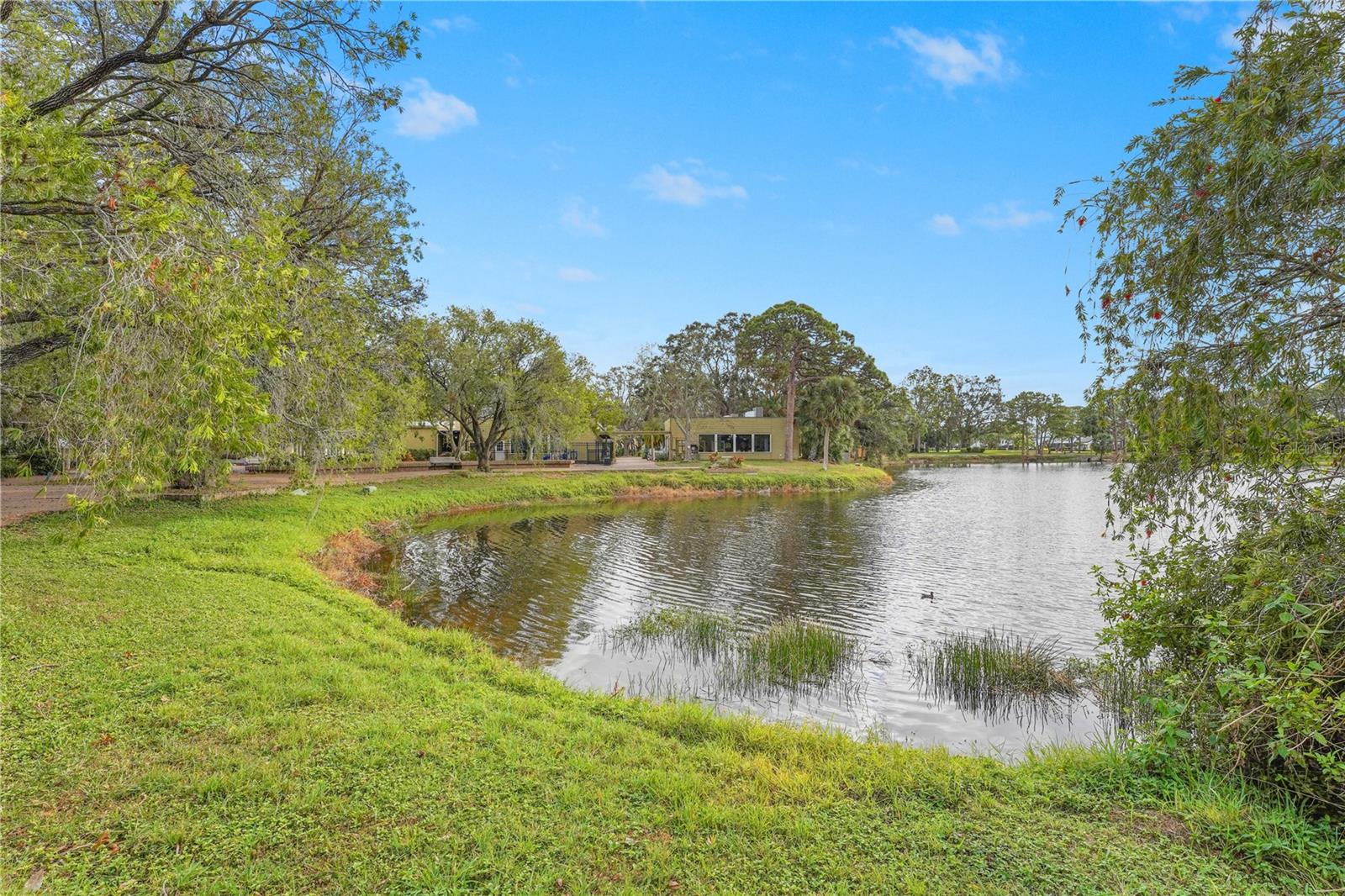3375 SANDLEHEATH #34, SARASOTA, FL, 34235