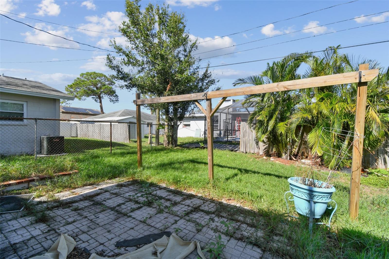 Backyard