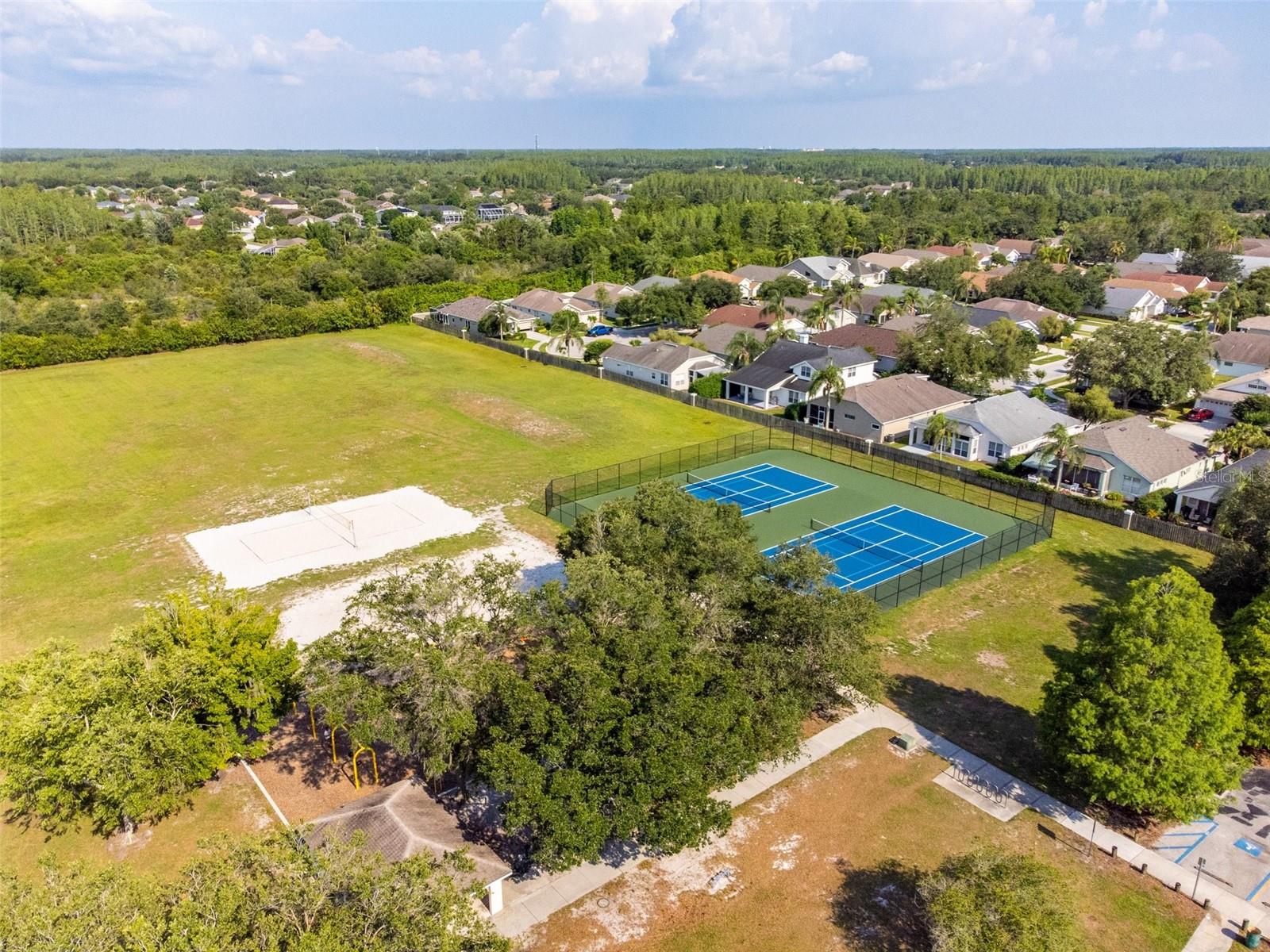 19606 MORDEN BLUSH DR, LUTZ, FL, 33558