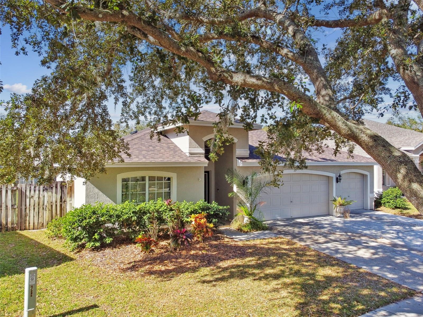 19606 MORDEN BLUSH DR, LUTZ, FL, 33558