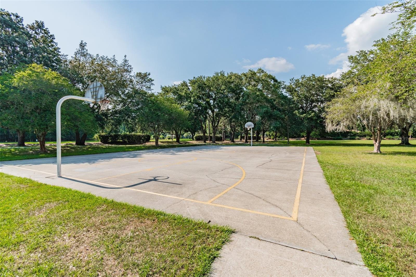 19606 MORDEN BLUSH DR, LUTZ, FL, 33558