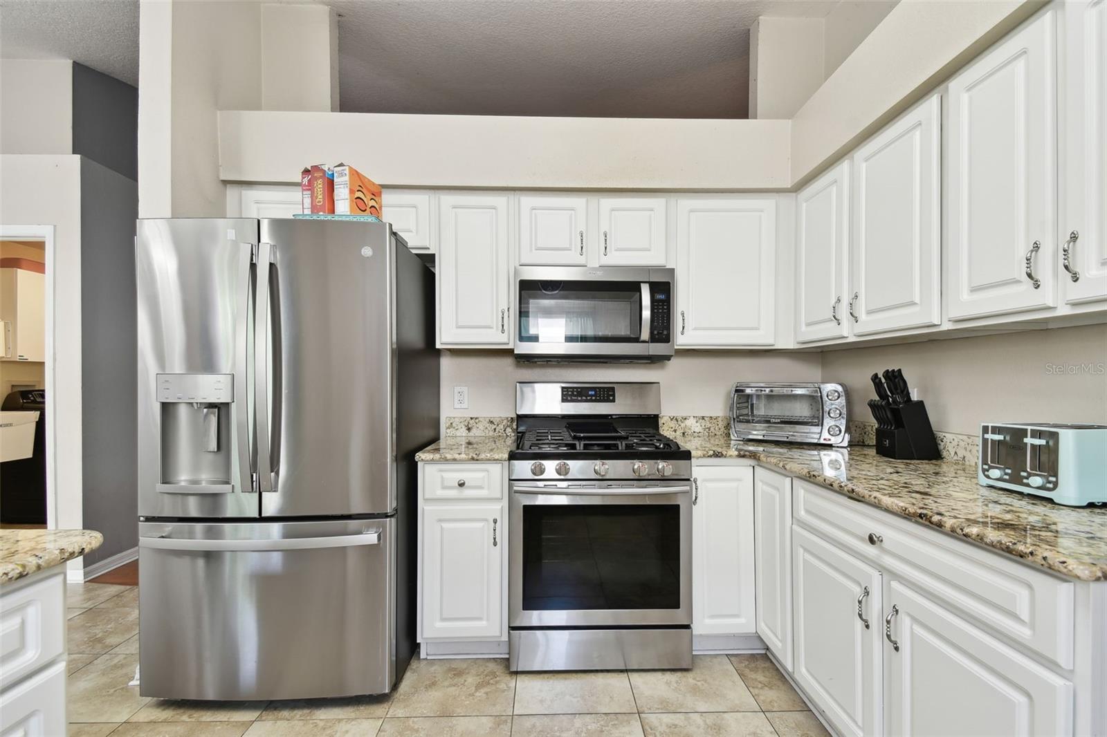 19606 MORDEN BLUSH DR, LUTZ, FL, 33558