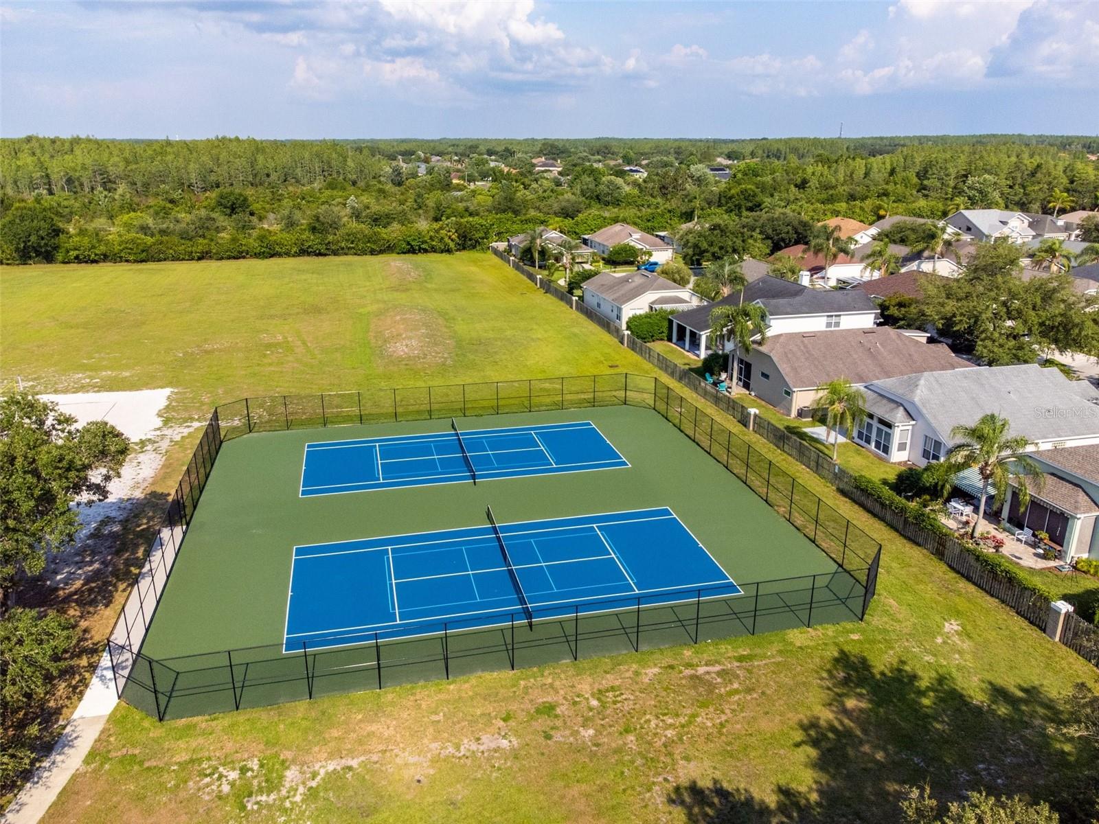 19606 MORDEN BLUSH DR, LUTZ, FL, 33558