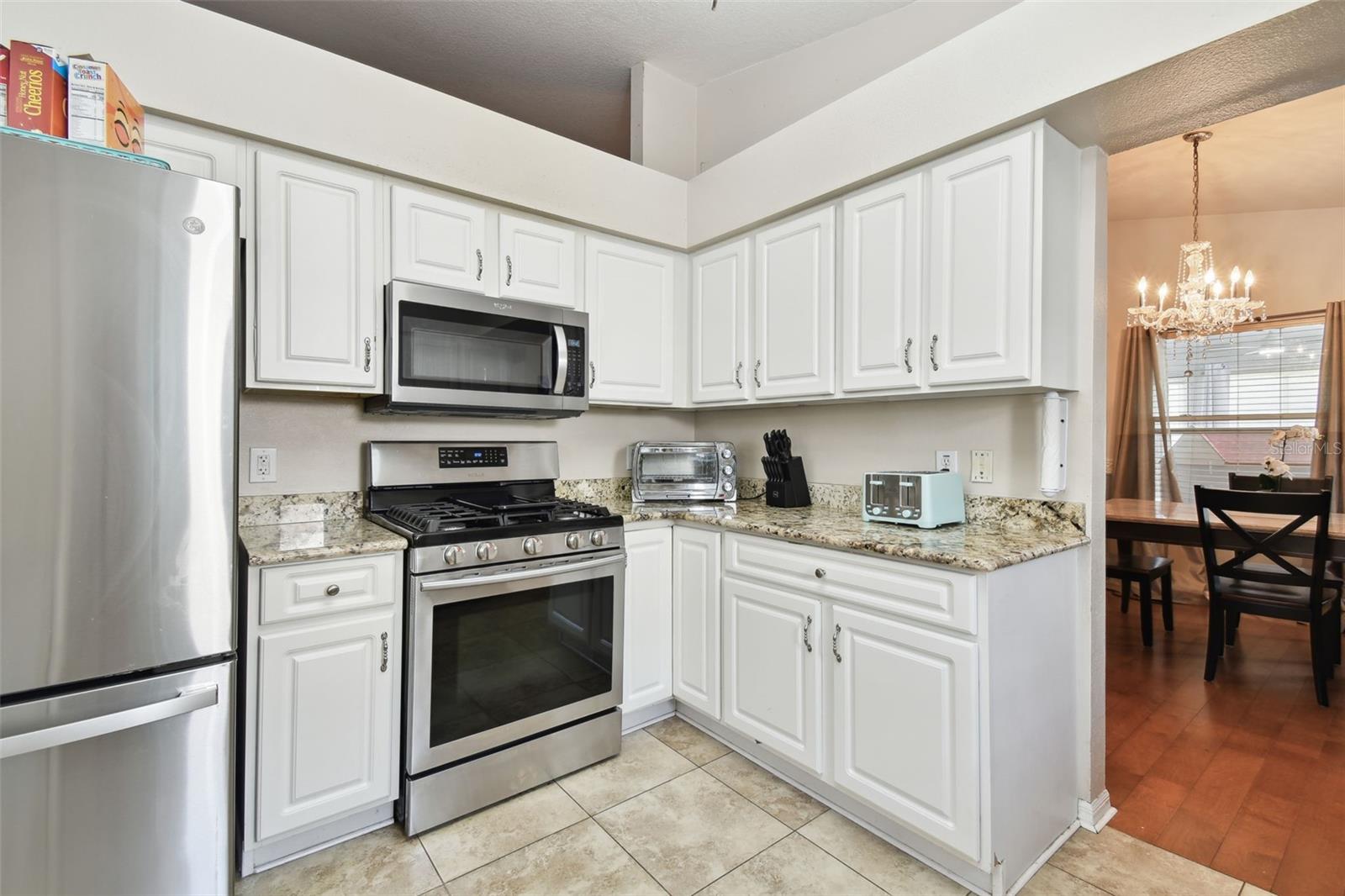 19606 MORDEN BLUSH DR, LUTZ, FL, 33558
