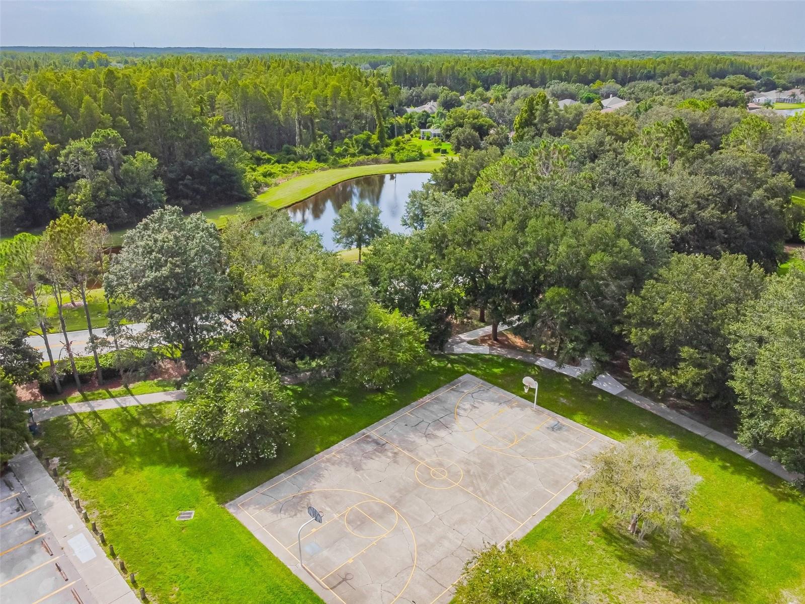 19606 MORDEN BLUSH DR, LUTZ, FL, 33558