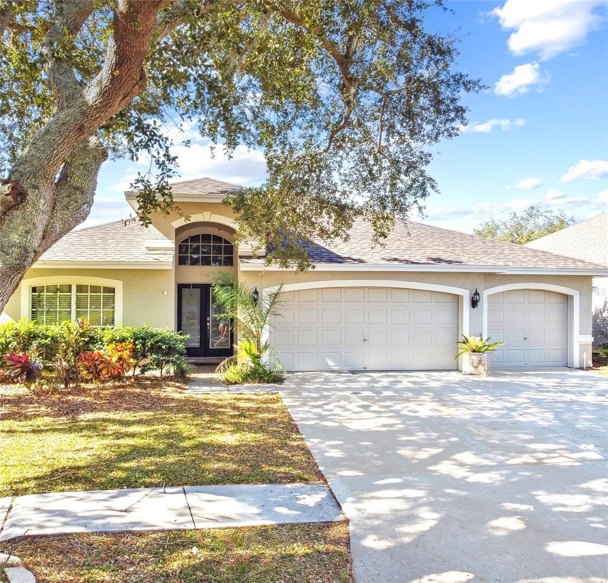 19606 MORDEN BLUSH DR, LUTZ, FL, 33558