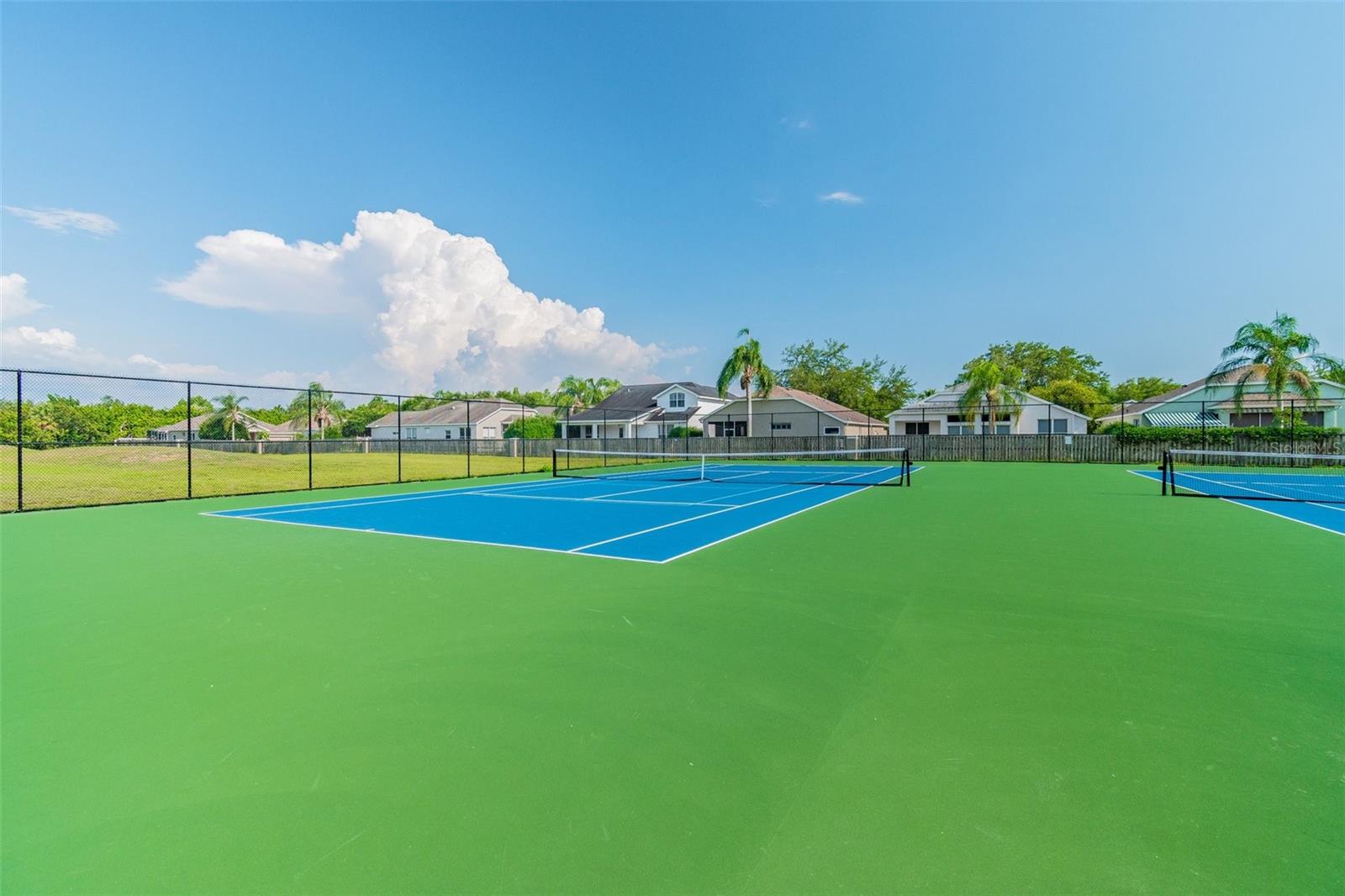 19606 MORDEN BLUSH DR, LUTZ, FL, 33558