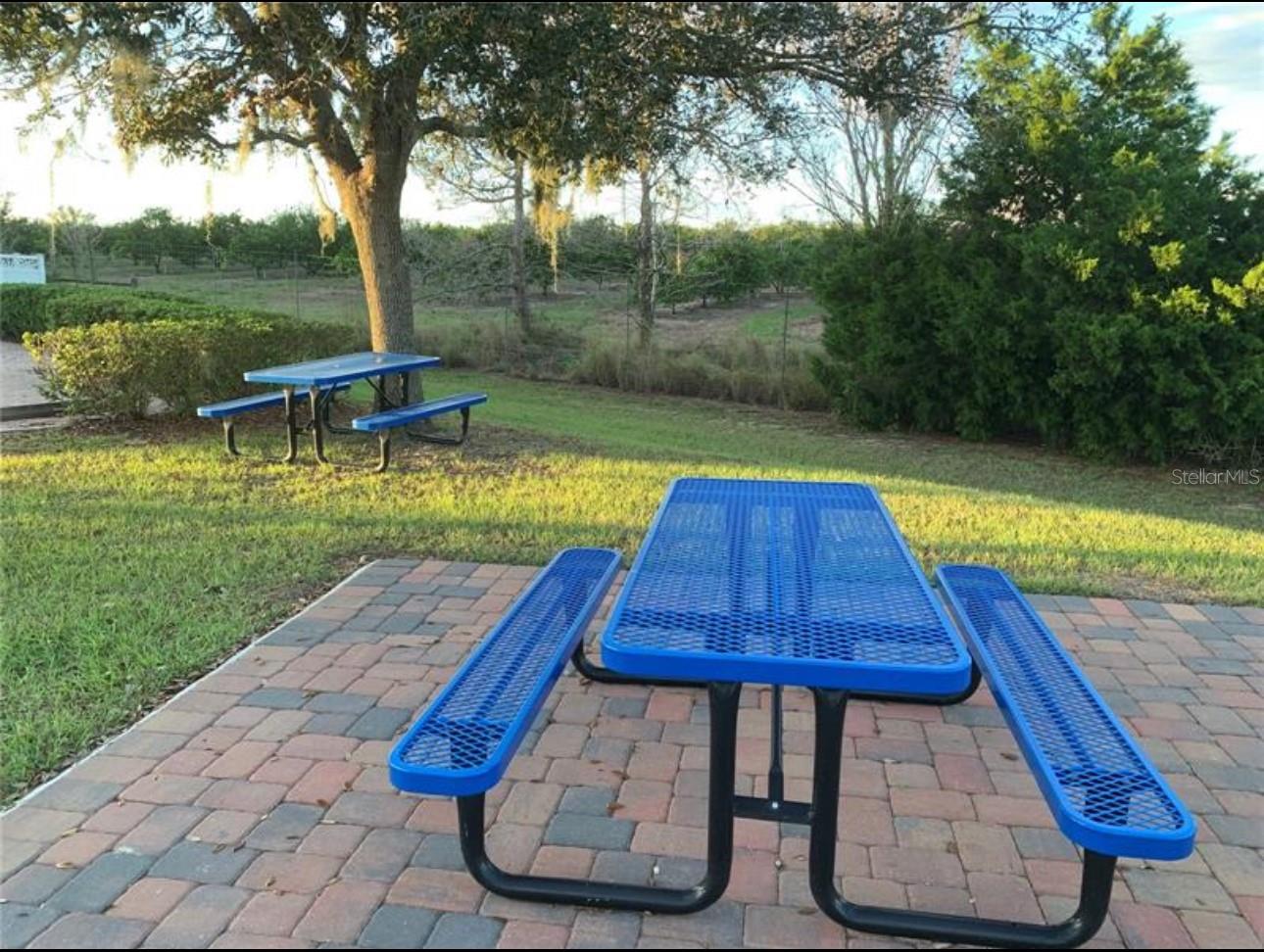 15349 HARVEST BLVD, CLERMONT, FL, 34714