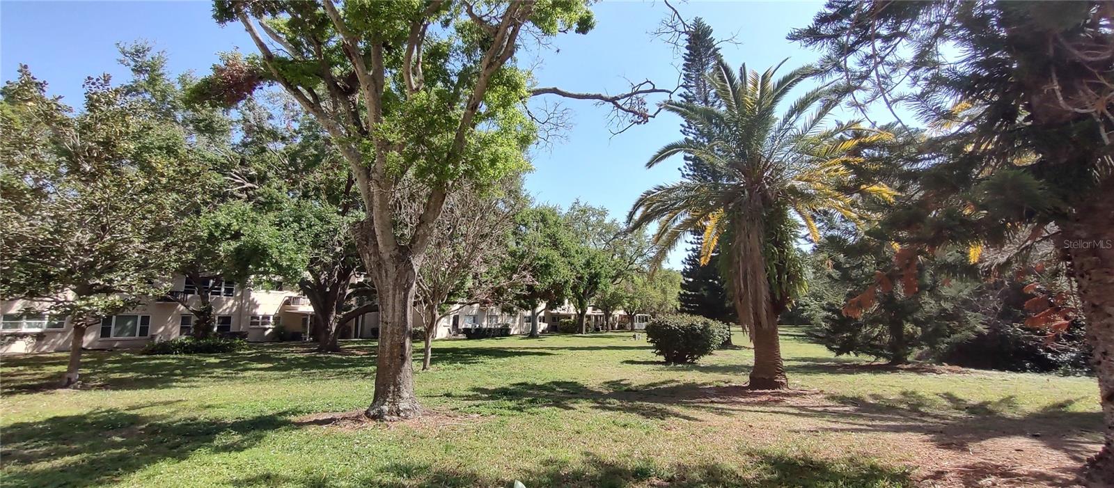 2170 AMERICUS BLVD N #22, CLEARWATER, FL, 33763