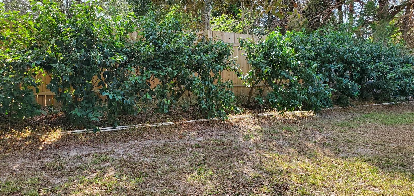 8040 HAMSTER DR, ZEPHYRHILLS, FL, 33540