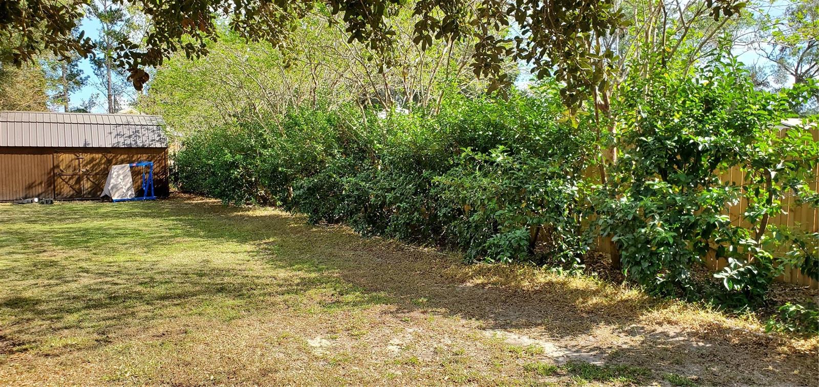 8040 HAMSTER DR, ZEPHYRHILLS, FL, 33540