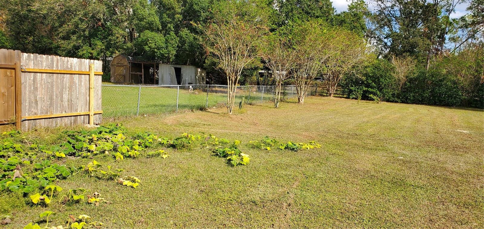 8040 HAMSTER DR, ZEPHYRHILLS, FL, 33540