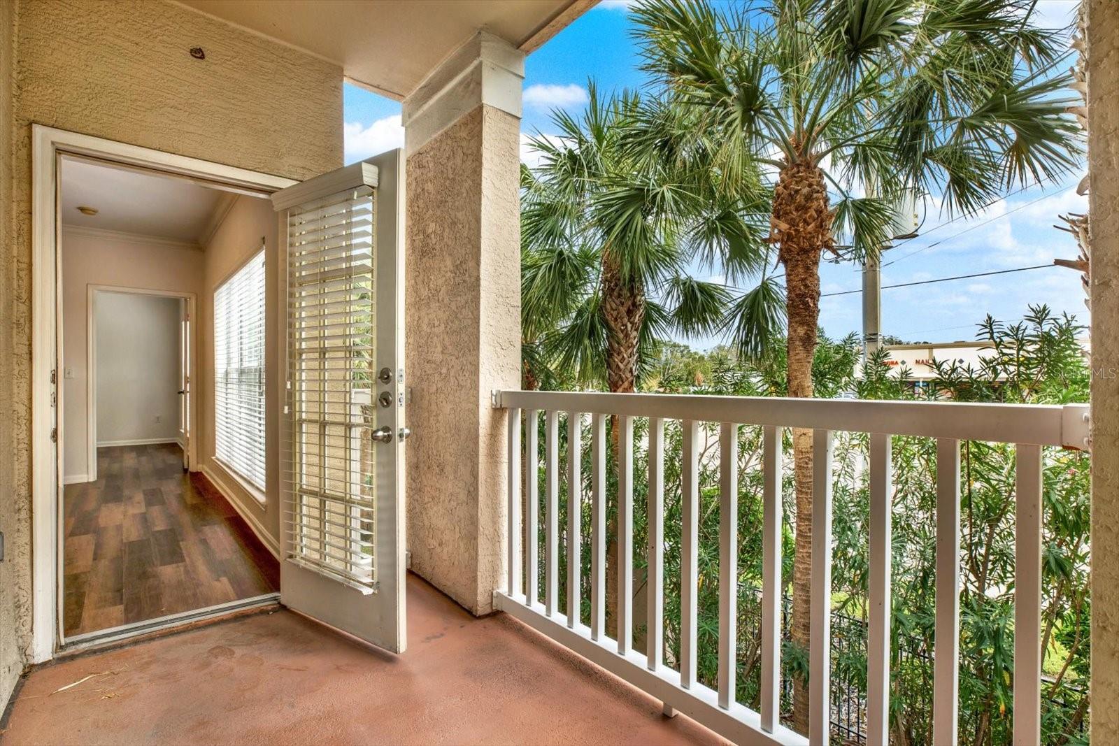 1216 S MISSOURI AVE S #222, CLEARWATER, FL, 33756