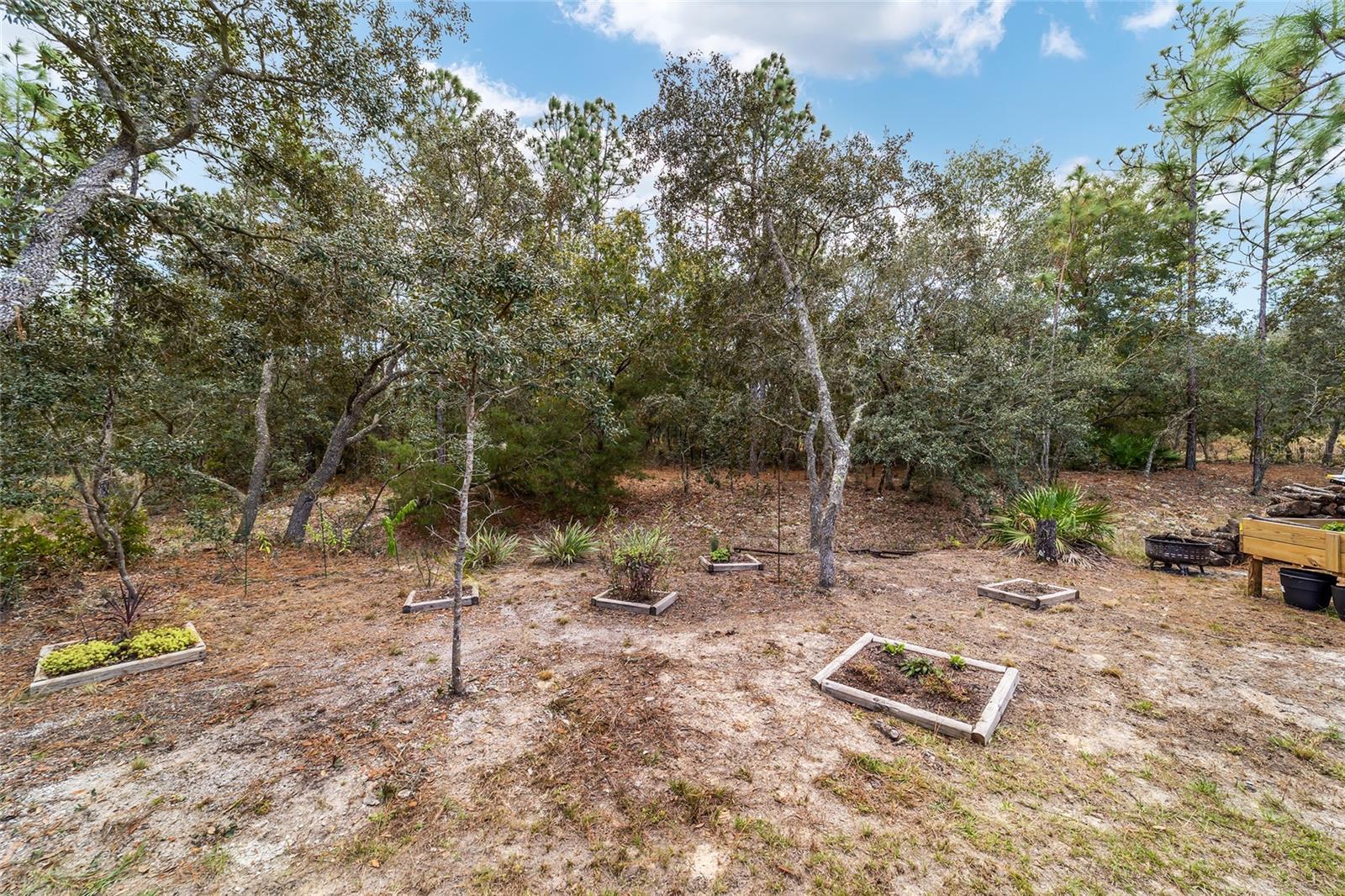 776 W HORIZON LN, CITRUS SPRINGS, FL, 34434