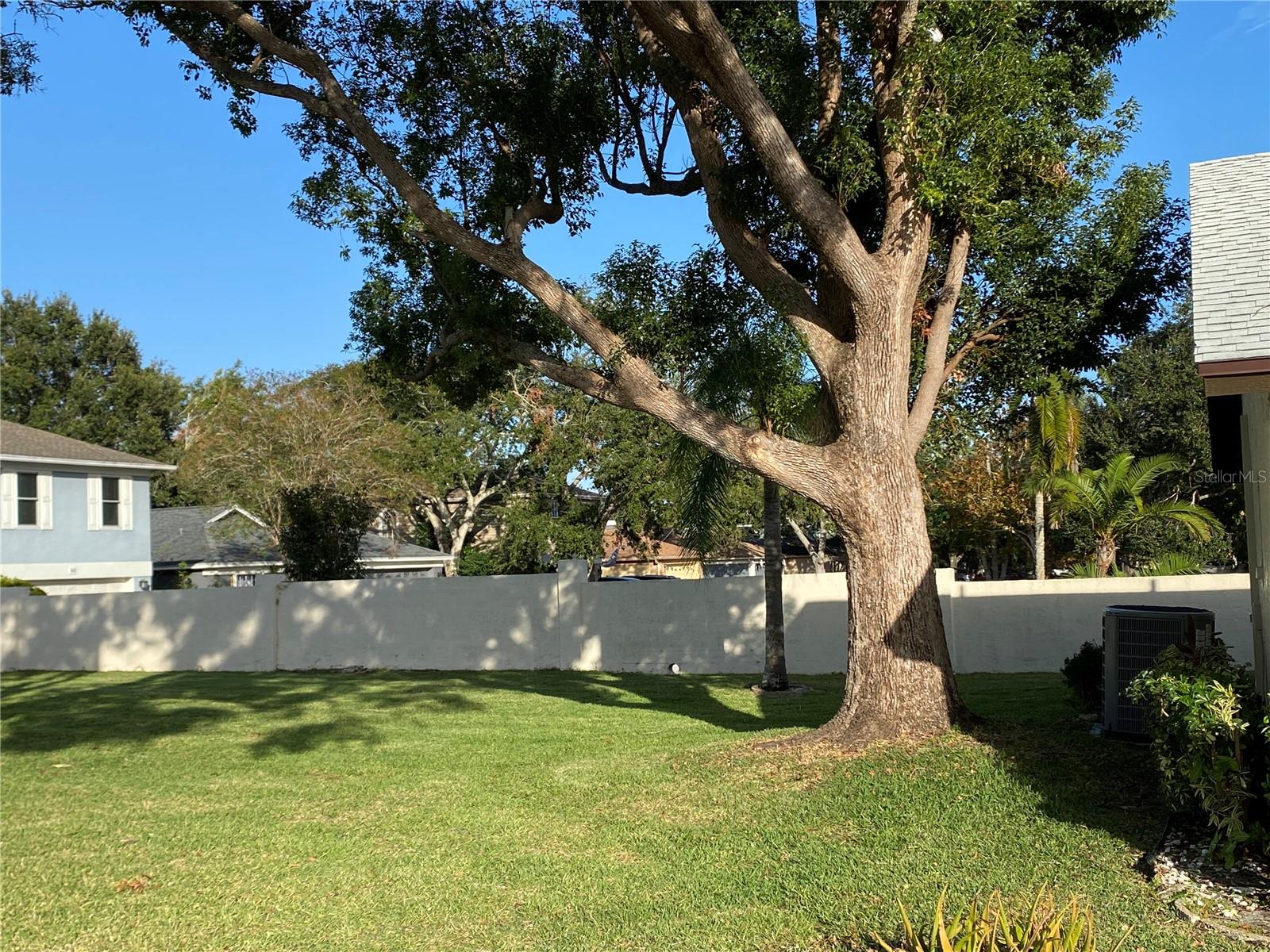 3499 CEDAR LN, PALM HARBOR, FL, 34684