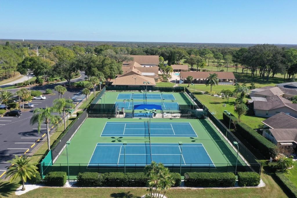3499 CEDAR LN, PALM HARBOR, FL, 34684