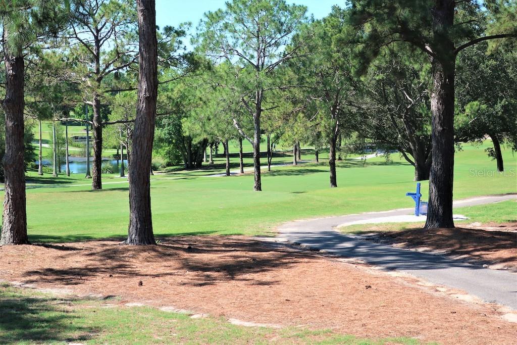 3499 CEDAR LN, PALM HARBOR, FL, 34684
