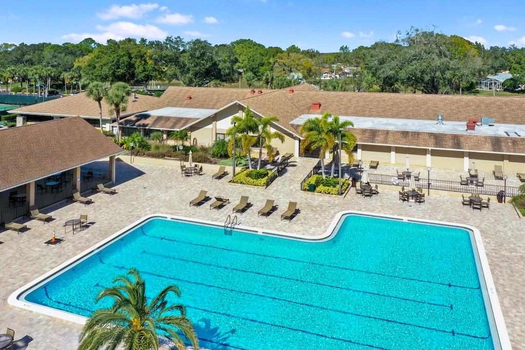 3499 CEDAR LN, PALM HARBOR, FL, 34684