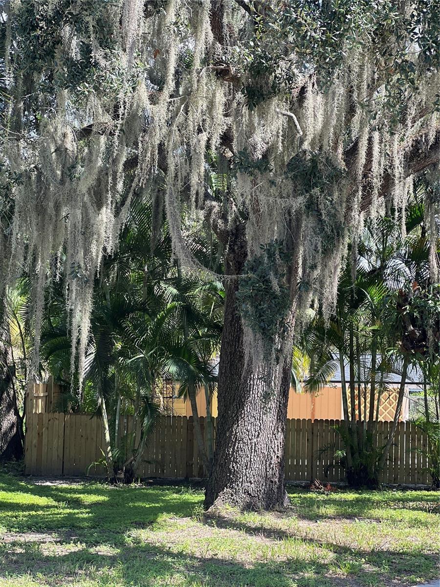 121 E PINE ST, ARCADIA, FL, 34266